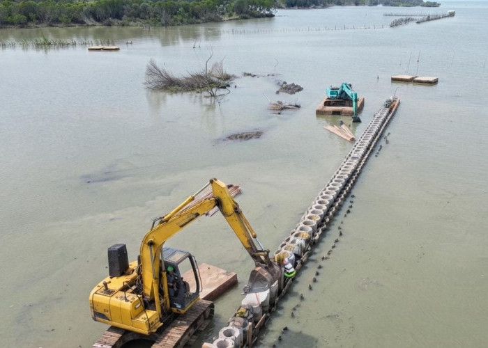 Demak Perkuat Pertahanan Pesisir, Tanggul 900 Meter di Sayung Jadi Bagian Strategi Lawan Rob