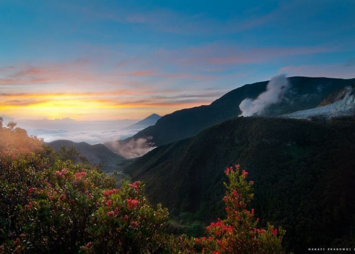 Gunung Papandayan: Pesona Alam dan Sejarah yang Mempesona, Simak Ini Faktanya!