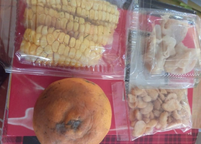 Program MBG di Batang Disorot, Komite Sekolah Temukan Jeruk Busuk hingga Dugaan Markup Harga  