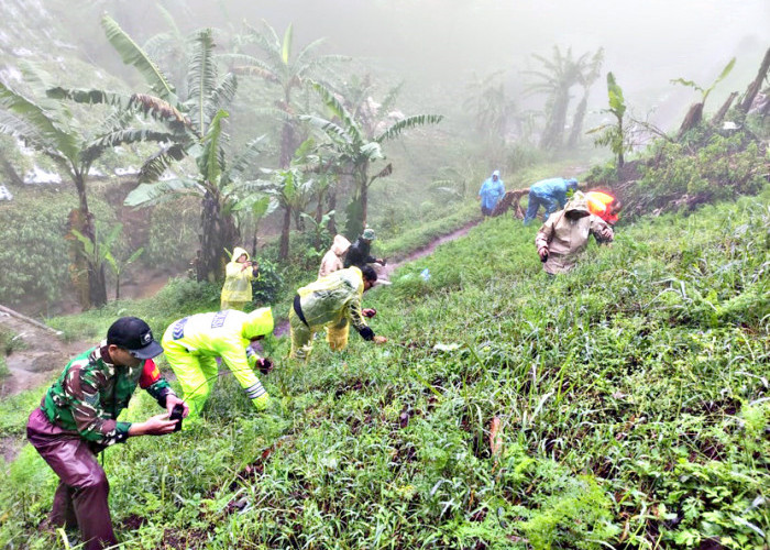 Cegah Bencana Alam, 15.000 Pohon Swadaya Ditanam di Bukit Gondang Kabupaten Tegal