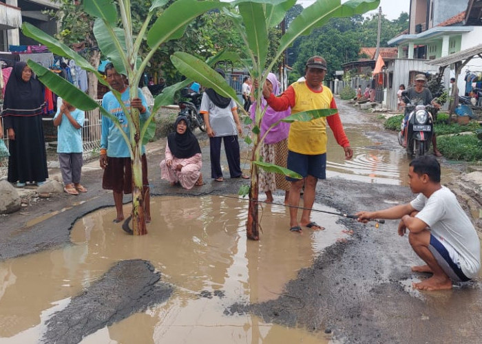 Bentuk Protes, Warga Kertayasa Kabupaten Tegal Tanam Pohon Pisang dan Mancing di Jalan Rusak