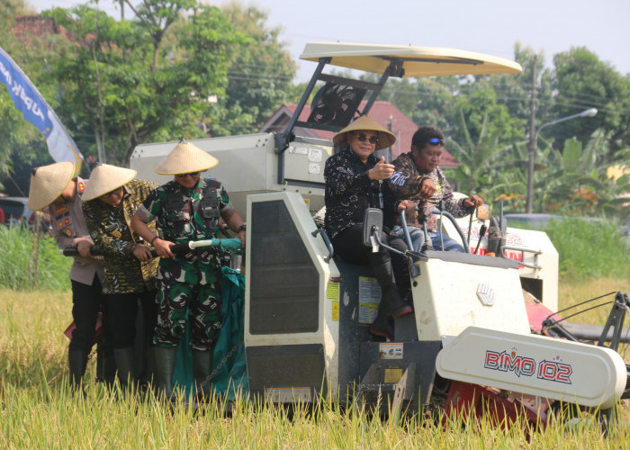Sudewo Pamer Surplus Beras di Pati, Ini Respon Tak Terduga Gubernur Jateng
