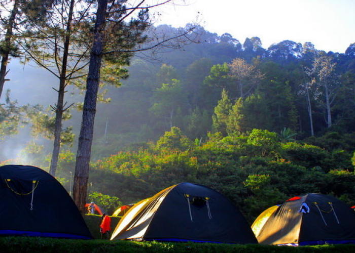6 Tempat Camping di Bogor yang Menawarkan Pemandangan Indah dan Asri, Nomor 1 Paling Populer dan Instagramabel