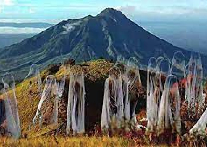 Cerita Mistis Gunung Lawu Bikin Bulu Kuduk Merinding, Larangan Baju Warna Hijau!