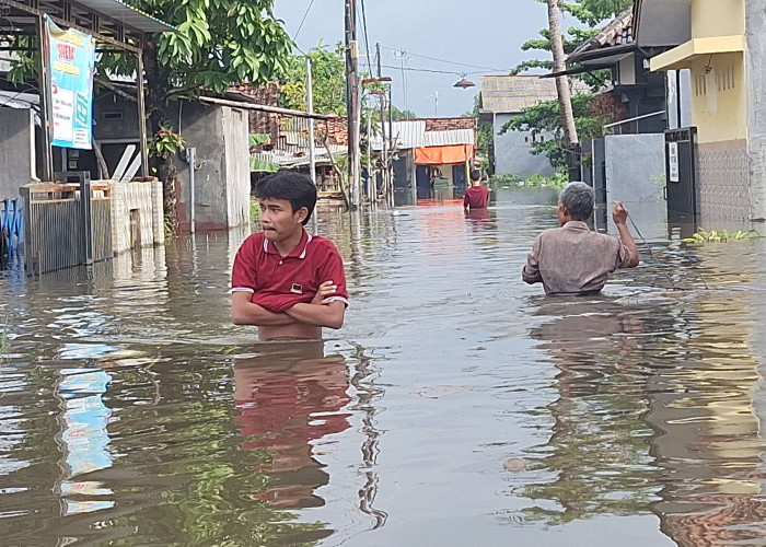 Banjir di Pekalongan Hingga 1,5 Meter, Warga Mengungsi