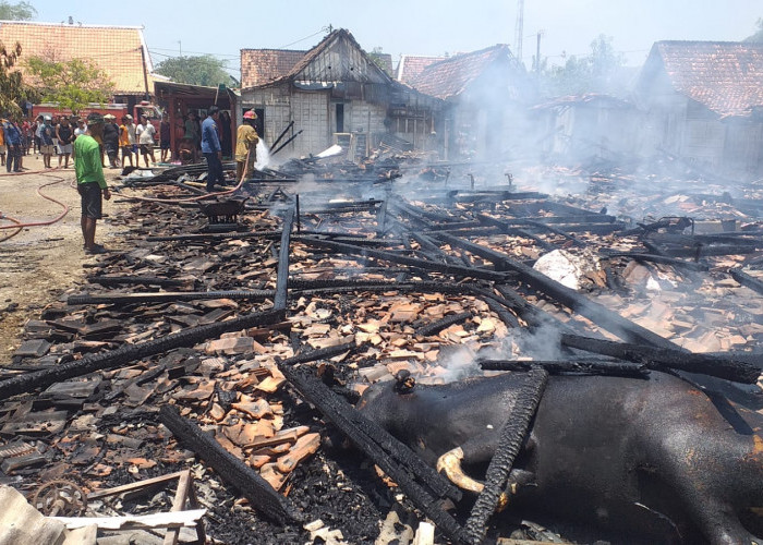 Berawal dari Bakar Jerami, Empat Rumah di Ngaringan Terbakar