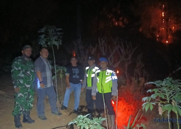 Kebakaran Lahan Perhutani di Karanggayam Kebumen, Petugas Berjalan Kaki untuk Padamkan Api