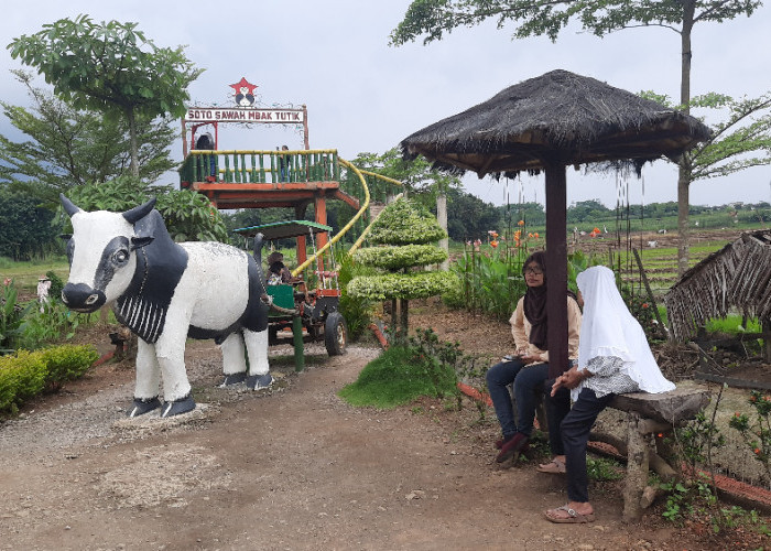 Soto Sawah Mba Tutik, Sensasi Kuliner Murah di Tengah Sawah dengan Panorama Gunung Ungaran
