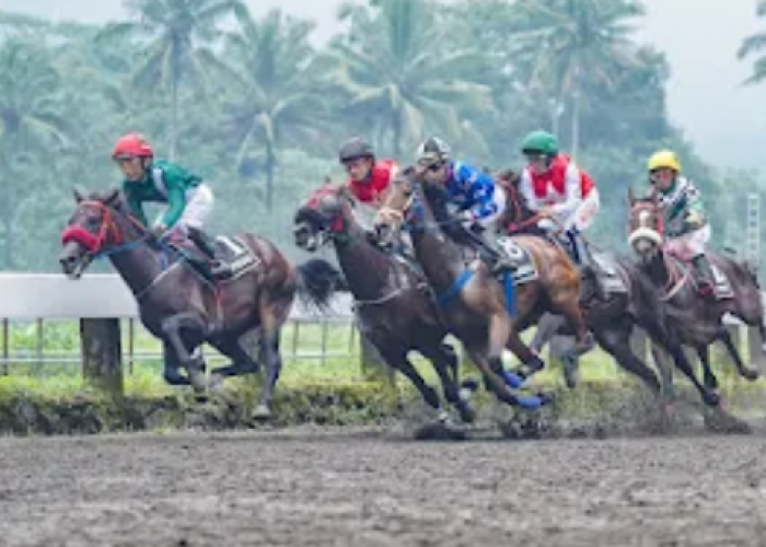 147 Kuda Ikut Berlaga Dalam IHR Piala Raja Mangkunegaran & Triple Crown Serie 2 2026 di Tegalwaton