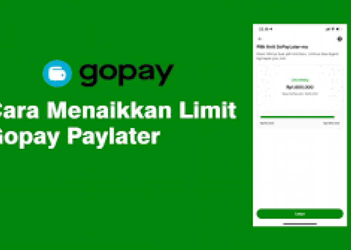 Cara Mudah Menaikan Limit GoPayLater