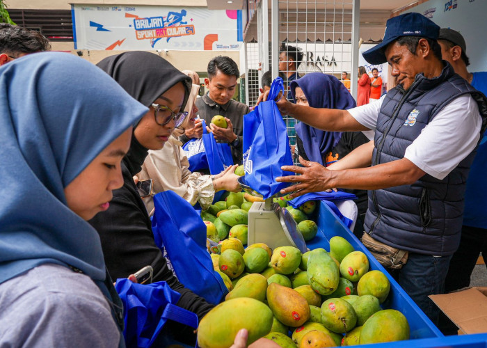 Petani Mangga Bondowoso Mampu Perluas Lahan dan Tingkatkan Taraf Hidup, Hasil Pemberdayaan BRI