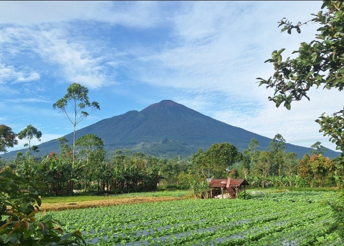 Pendaki Asal Brebes Tewas, Jatuh ke Kawah Gunung Slamet Saat Swafoto