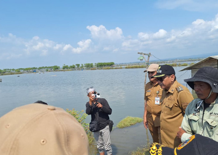 Pemprov Jateng Gerak Cepat Tangani Banjir Rob di Desa Tunggulsari Pati