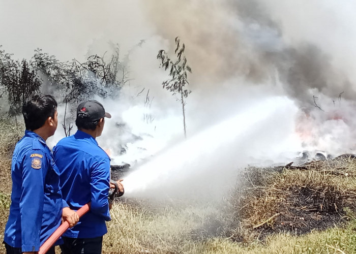 Sebanyak 130 Kasus Kebakaran Terjadi di Kabupaten Tegal Sejak Januari hingga Oktober 2024