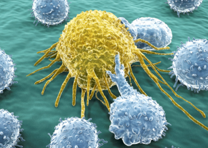 Fakta-Fakta Menarik tentang Sel Kanker yang Perlu Anda Ketahui