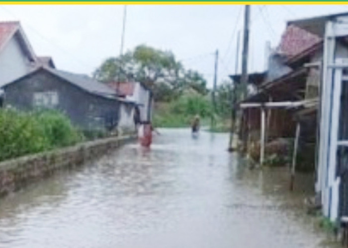 Pemdes Mojo Kabupaten Pemalang Buka Dapur Umum, Siapkan Nasi Bungkus Untuk Warga Terdampak Banjir 