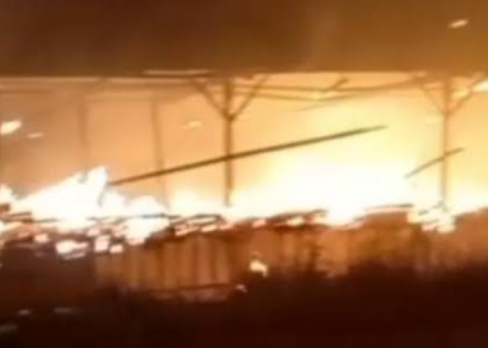 Kandang Ayam di Karanggede Boyolali Ludes Terbakar, Kerugian Pemilik Ratusan Juta Rupiah