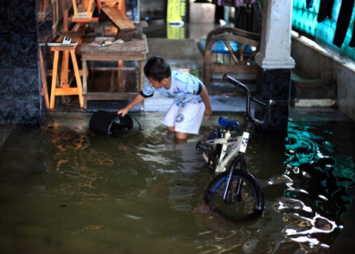 Ratusan Rumah Warga Jalan Rambutan Kota Tegal Terendam Banjir 