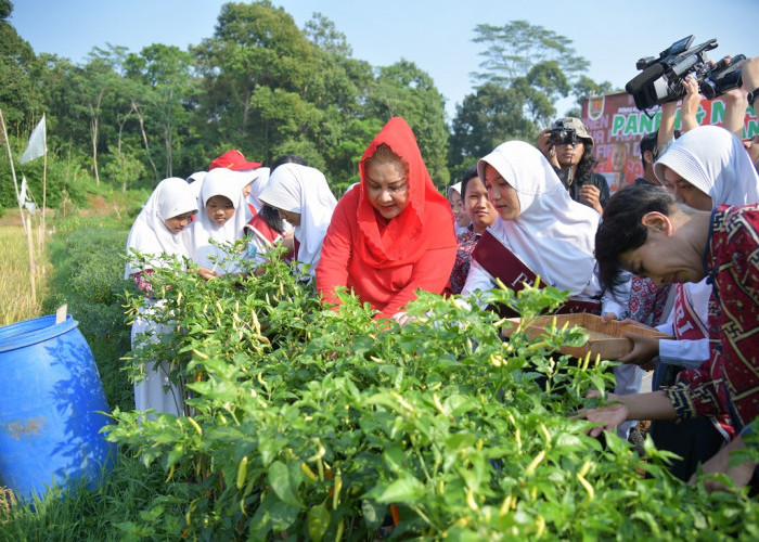 Pemkot Semarang Terbitkan Perwal Beasiswa Anak Petani dan Nelayan