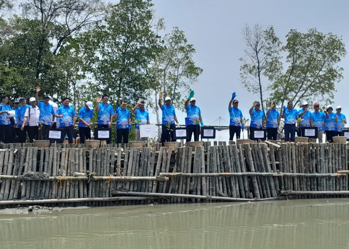 Lakukan Rehabilitasi Pesisir Demak, Menteri KKP: Ekosistem Sehat Mendukung Kesejahteraan