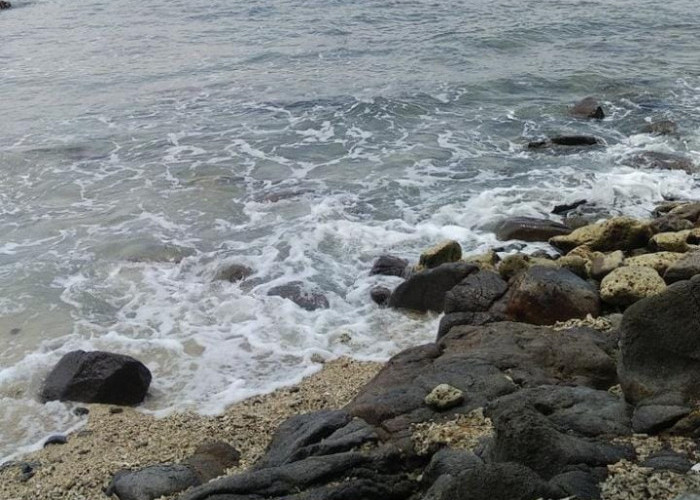 Rekomendasi Tempat Wisata di Brebes, Pantai Randu Sanga Tetap Melegenda