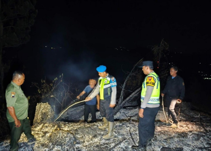 Kebakaran Lahan Perhutani di Karanggayam Kebumen, Setengah Hektare Hutan Pinus Terbakar