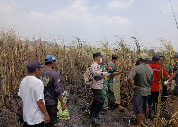 Diduga Terjebak Saat Membakar Lahan, Warga Sidamulya Tegal Tewas Terbakar 