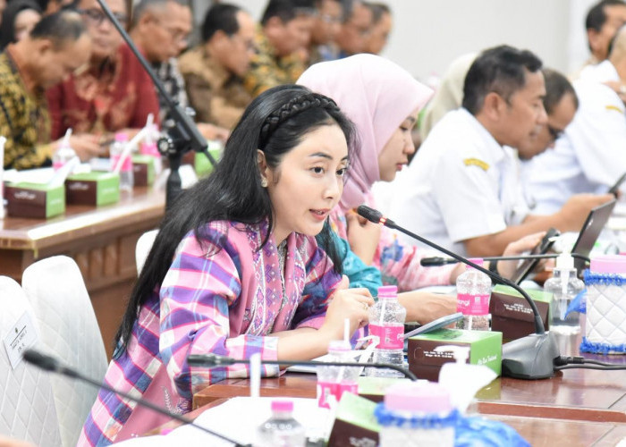 Komisi II DPR RI Awasi Kinerja BUMD, Shintya Apresiasi Bank Jateng