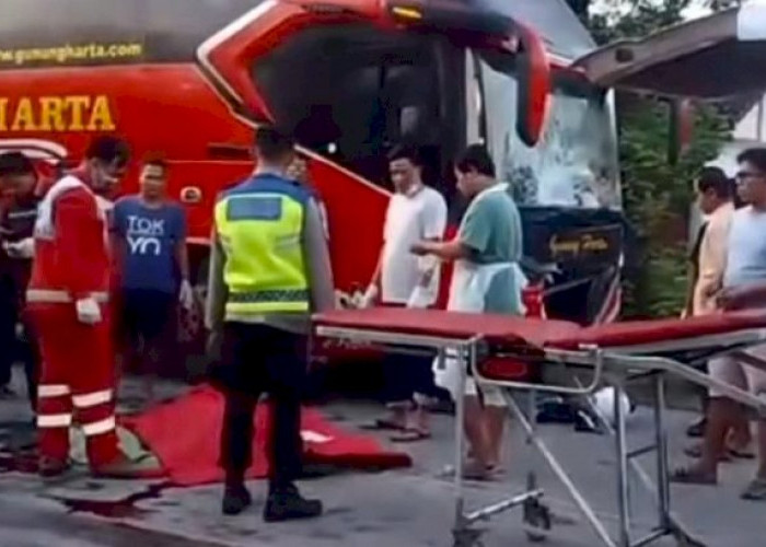 Bus vs Motor, Kecelakaan Maut Di Grobogan Renggut Nyawa Dua Pelajar