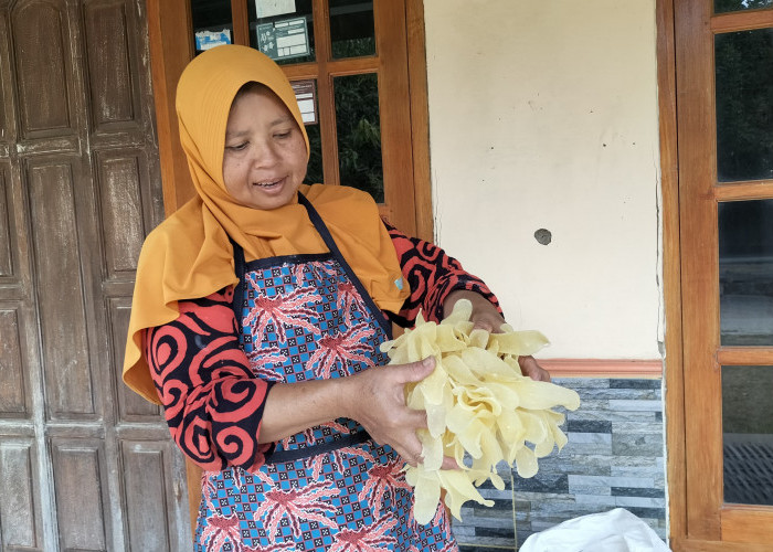 Cemilan Krupuk Trowolo dan Gatot Masih Eksis di Tengah Kuliner Modern 