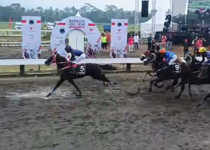 Jateng Derby 2026 Tegalwaton, Pertarungan Bergengsi Kuda Ex-Derby di Awal Musim