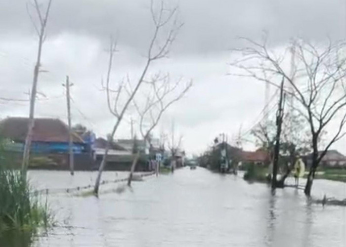 PC ISNU Demak Desak Langkah Cepat Tangani Banjir Bonang, Jalur Ekonomi Demak Terancam Lumpuh