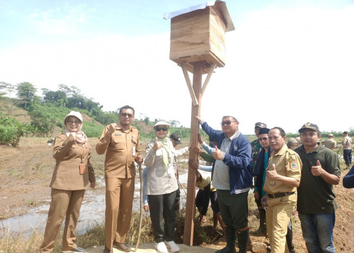 Diawali 300 Ayat Kursi, Pemkab Batang dan Ratusan Petani Gropyok Tikus di 150 Hektare Sawah Ponowareng