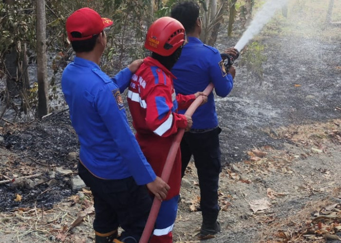 Bakar Sampah Berujung Petaka, Dua Lahan Alang-alang di Tegal Terbakar dalam Sehari