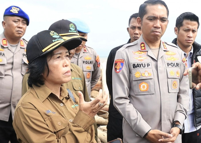 Perhutani Pastikan Kayu di Pantai Larangan Bukan Hasil Tebangan, Kapolres Tegal Turun Langsung ke Lokasi