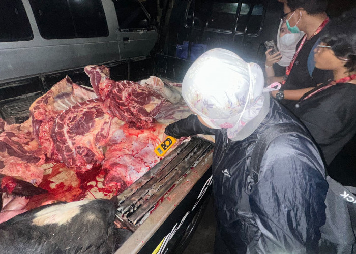 Masih Ditemukan Daging Sapi Gelonggongan Dijual di Pasar Pagi Salatiga, Tiga Pedagang Disanksi