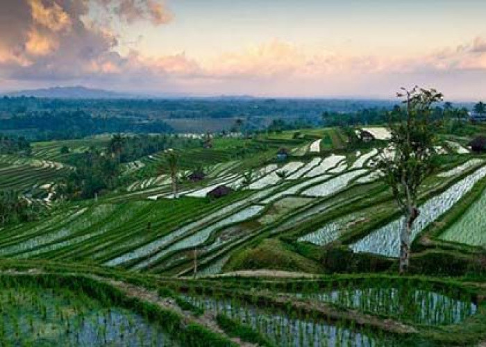 Wisata Alam di Jawa Tengah yang Cocok untuk Self-Healing