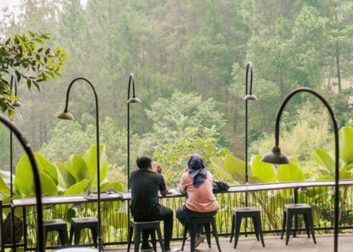 Kafe Bernuansa Alam di Batang: Suasana Teduh & Harga Menu Terjangkau