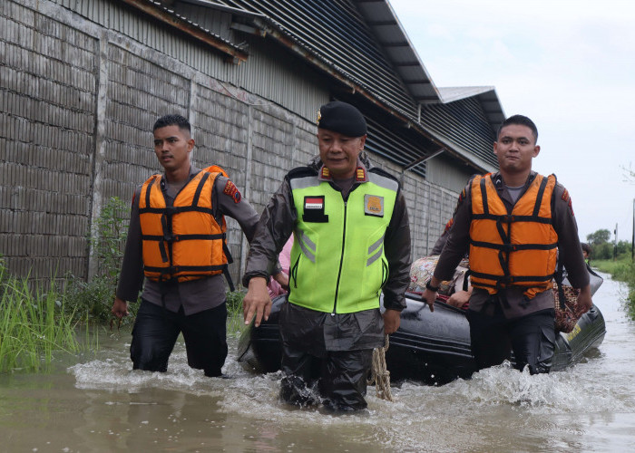 Banjir Rendam Sejumlah Kecamatan di Pekalongan, Polisi dan BPBD Fokus Evakuasi Warga