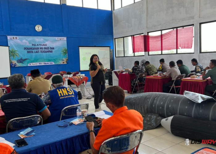 Hiu Paus Terdampar di Purworejo Sudah 7 Kali Sejak 2016, Nelayan Dilatih Tangani Satwa Dilindungi