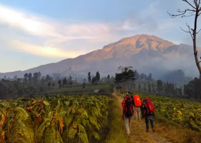 6 Misteri Gunung Slamet yang Terkenal Angker di Jawa Tengah, Nomor 5 Bikin Merinding!