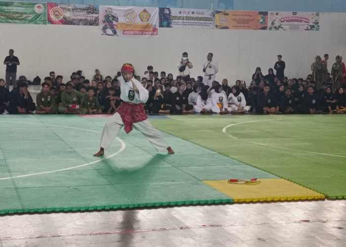 236 Pendekar Muda Kota Pekalongan Adu Jurus di Kejuaran Silat Walikota Cup 