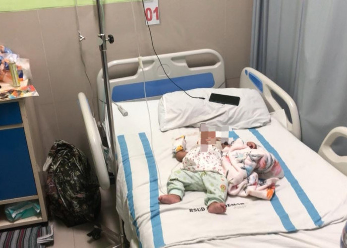 Diserang Monyet Liar Bayi 4 Bulan di Demak Terluka