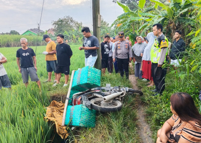 Jebakan Tikus Kembali Makan Korban, Petani Wanita Meninggal Dunia Diduga Tersetrum di Sragen
