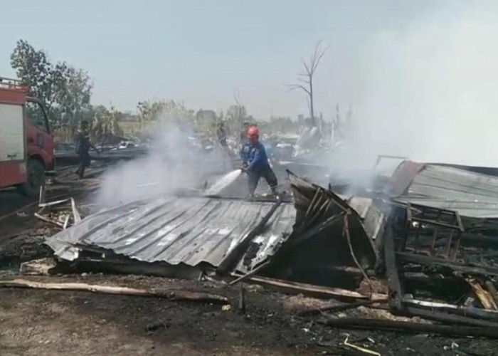 Kandang Ayam di Kaliwadas Tegal Kebakaran Jelang Panen, 33 Ribu Ayam Hangus Terpanggang