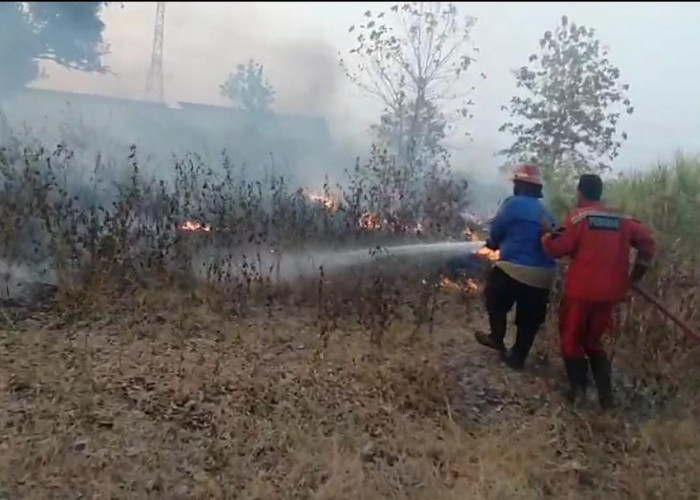 Lahan Kosong Terbakar, RS Hawari Essa Tegal Nyaris Dilalap Api