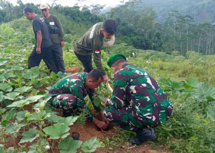 Cegah Longsor, Koramil Watumalang Bersama Relawan Sampah Tanam 500 Pohon di TPS Wonokampir 