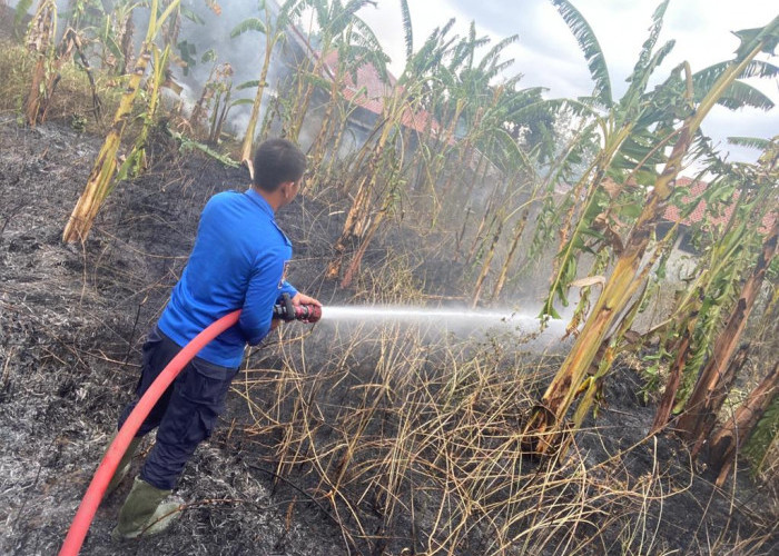 Sehari 4 Insiden Kebakaran Terjadi di Kabupaten Tegal