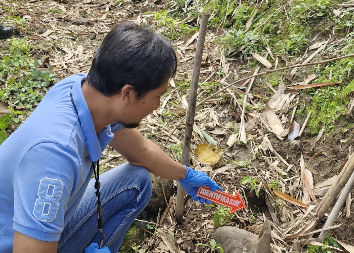 Sempat Dipegang Warga, Granat Nanas Ditemukan di Kampung Ledok Salatiga