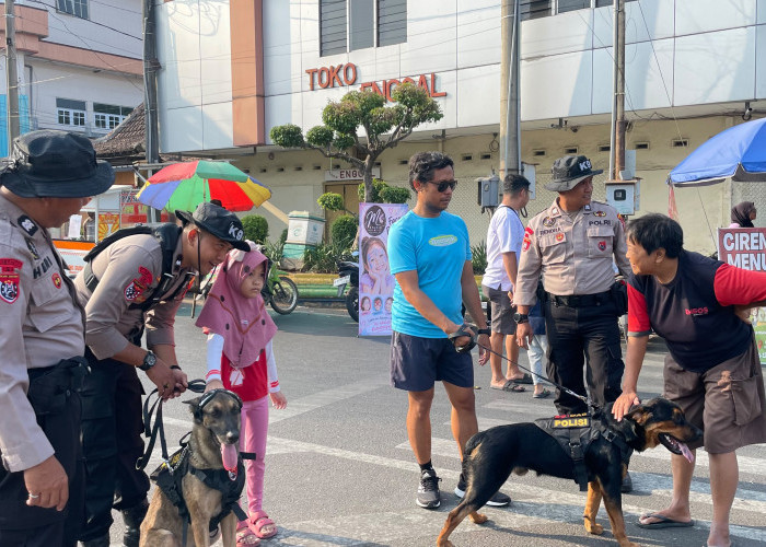 Dua Anjing Pelacak yang Mencuri Perhatian di Alun-Alun Pati